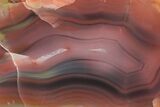 Colorful, Polished Patagonia Agate - Argentina #214909-2